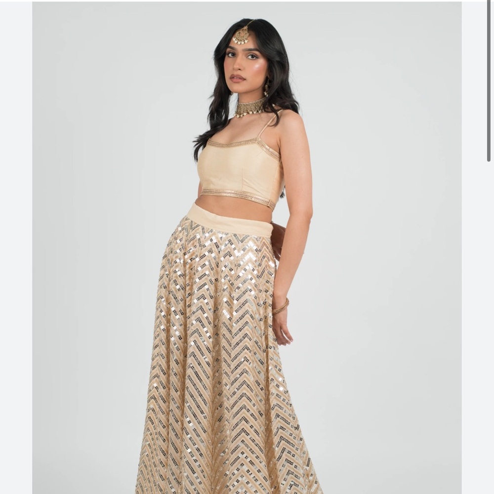 Beautiful lehenga, new barely worn